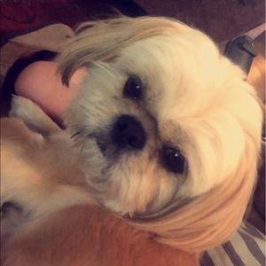 Meet your Posher, Catelyn